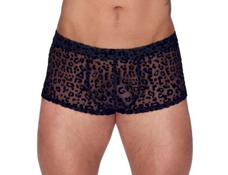 Noir M.Pants leo 2XL - 4