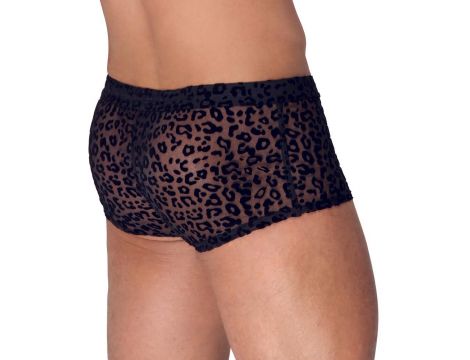 Noir M.Pants leo 2XL - 5