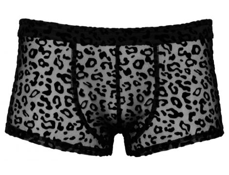 Noir M.Pants leo 2XL - 3