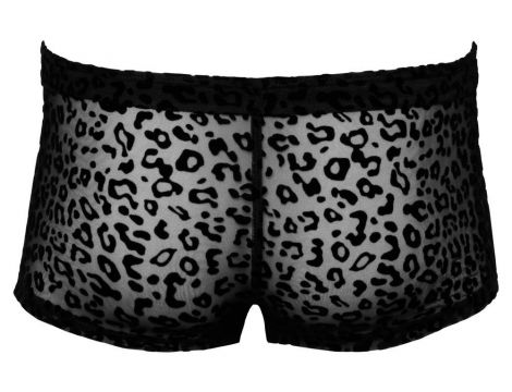 Noir M.Pants leo 2XL - 2