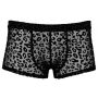 Noir M.Pants leo 2XL - 4
