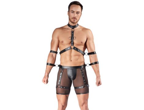 Men's Harness and Pants L - 4