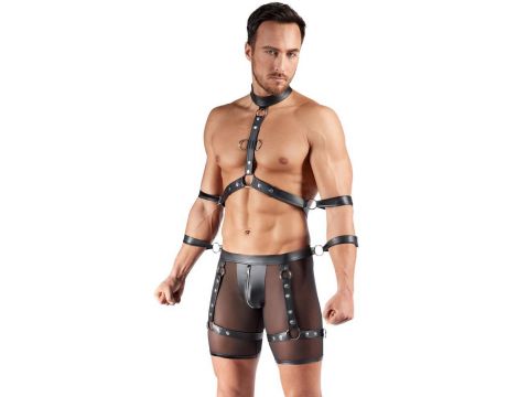 Men's Harness and Pants L