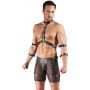 Men's Harness and Pants L - 2