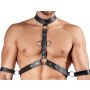 Men's Harness and Pants L - 4