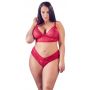 Bra and Red Briefs 4XL - 3
