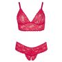 Bra and Red Briefs 4XL - 8