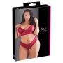 Bra and Red Briefs 4XL - 7