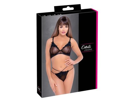 Bra and Rio XL - 6