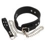 Collar Silicone - 2