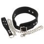 Collar Silicone - 6