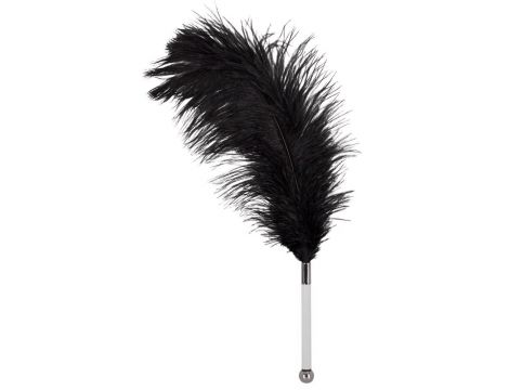Feather black acrylic - 2