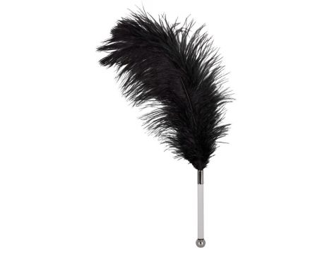Feather black acrylic