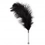Feather black acrylic - 3