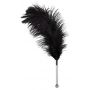 Feather black acrylic - 2