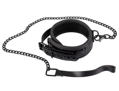 Collar with Leash - 6