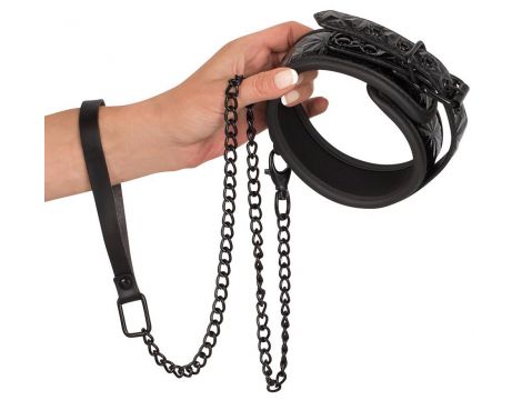 Collar with Leash - 2