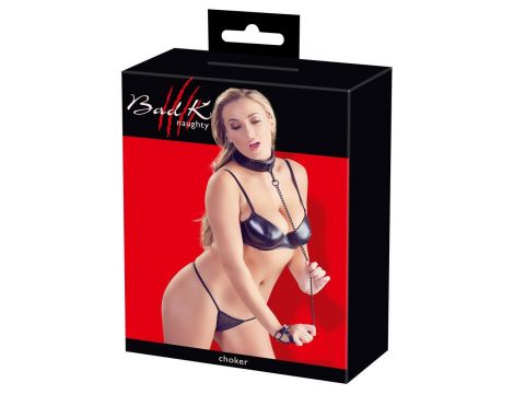 Collar with Leash - 3