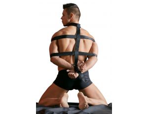 Body Harness