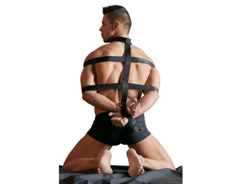 Body Harness