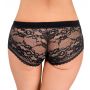 Strap-on Panties - 4