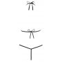 String Body S/M - 9