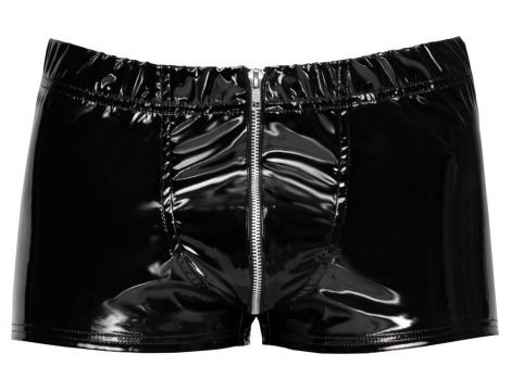 Vinyl M. Pants RV L - 8