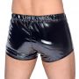 Vinyl M. Pants RV L - 7