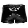 Vinyl M. Pants RV L - 6