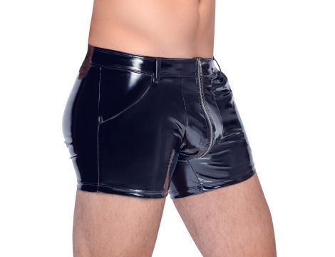 Vinyl M. Pants RV L - 4