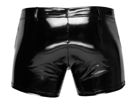 Vinyl M. Pants RV L - 8
