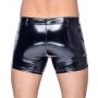 Vinyl M. Pants RV L - 4