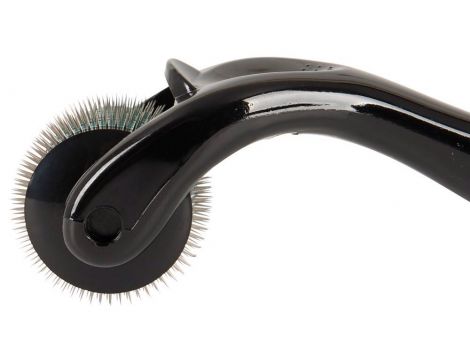 Mikro pinwheel Fetish Collection stal nierdzewna 13,4 cm - 5