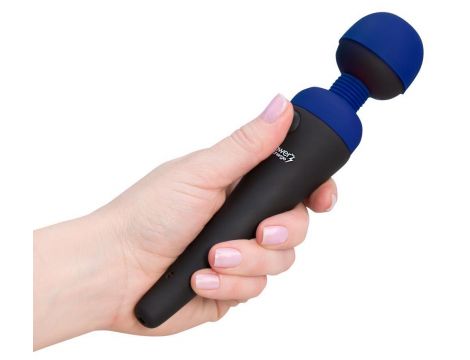 palmpower recharge blue - 3