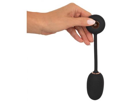 Intense RC Vibrating Egg - 5