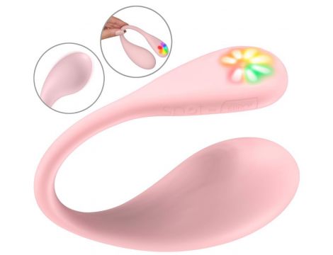 Spot Pink - 4