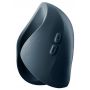 Pulse Duo 2025 - 5