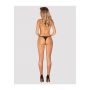 Chemeris stringi  M/L - 6