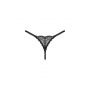 Chemeris stringi  M/L - 5