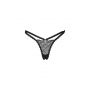 Chemeris stringi  M/L - 10