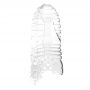 Masturbator- Me You Us Glacier Dual End Stroker Male Masturbator Transparent - 7