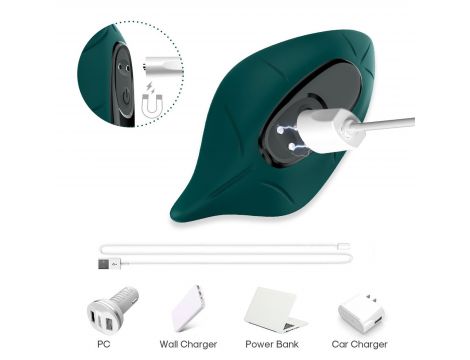 Leavess Green, 9 vibration functions - 4