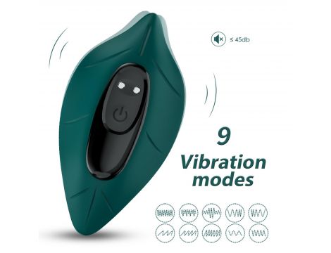 Leavess Green, 9 vibration functions - 12