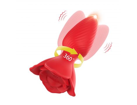 Honey Jelly - 2