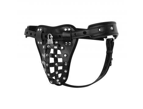 Bedroom Fantasies - Chastity Cage Panty Black - 3