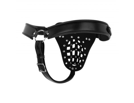 Bedroom Fantasies - Chastity Cage Panty Black - 5