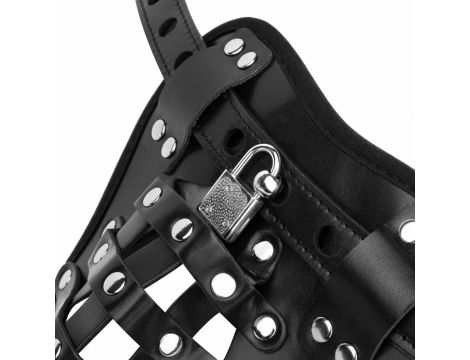 Bedroom Fantasies - Chastity Cage Panty Black - 2