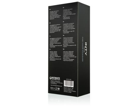 INTY Toys - Torch - 2