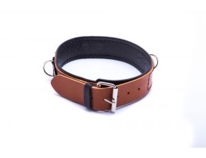 Obroża ze smyczą Whips Collection koniakowa skóra
