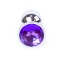MyLove Toys - Jewellery Silver PLUG- Purple - 5